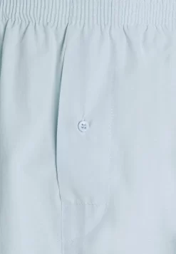 Pier One 5 Pack - Boxershort - Light Blue/White -Pier One Verkoopwinkel 8d526a81d413439291c57bcecfa7d443 scaled